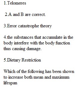 Lesson 03 Assignment